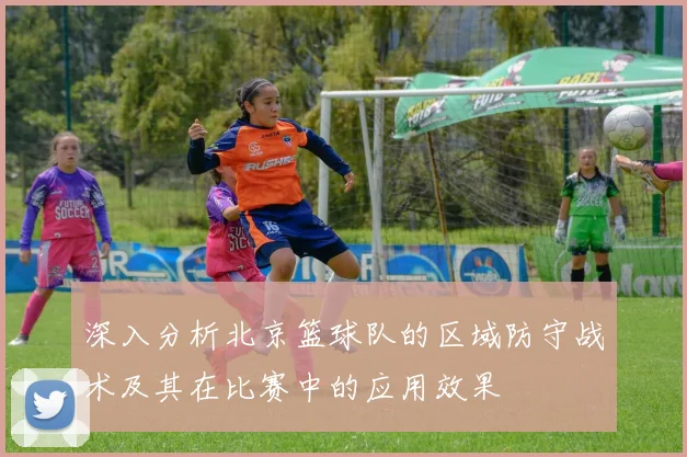 深入分析北京篮球队的区域防守战术及其在比赛中的应用效果