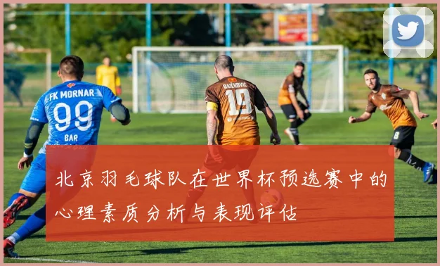 北京羽毛球队在世界杯预选赛中的心理素质分析与表现评估