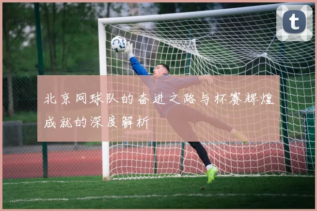 北京网球队的奋进之路与杯赛辉煌成就的深度解析