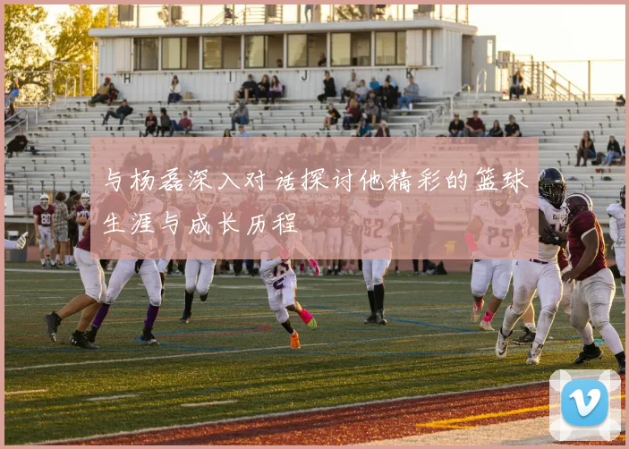 与杨磊深入对话探讨他精彩的篮球生涯与成长历程