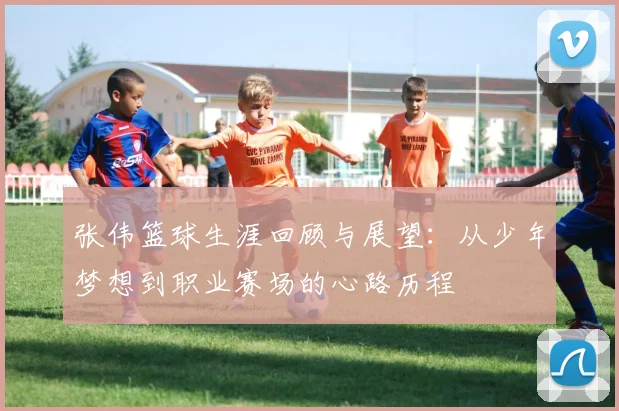 张伟篮球生涯回顾与展望：从少年梦想到职业赛场的心路历程