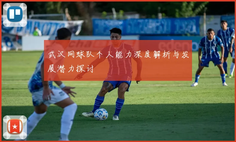 武汉网球队个人能力深度解析与发展潜力探讨