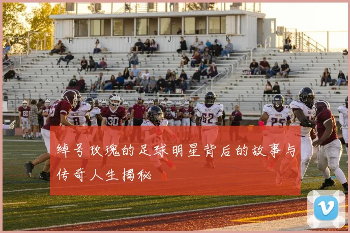 绰号玫瑰的足球明星背后的故事与传奇人生揭秘