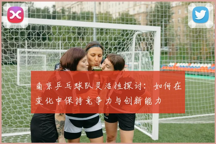 南京乒乓球队灵活性探讨：如何在变化中保持竞争力与创新能力