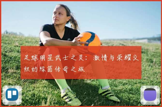 足球明星武士之灵：激情与荣耀交织的绿茵传奇之旅