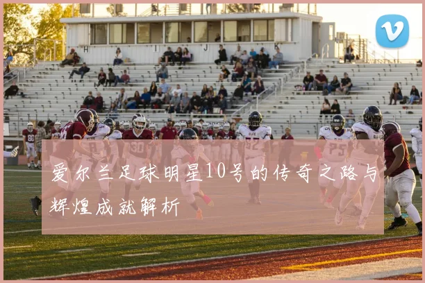 爱尔兰足球明星10号的传奇之路与辉煌成就解析