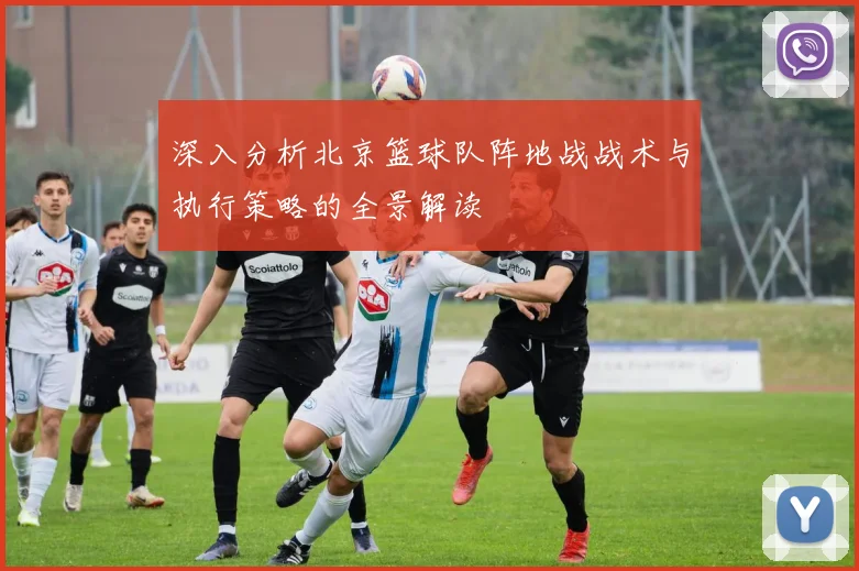深入分析北京篮球队阵地战战术与执行策略的全景解读