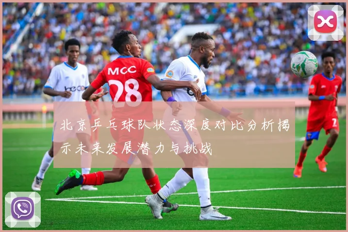 北京乒乓球队状态深度对比分析揭示未来发展潜力与挑战