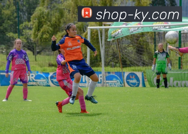 开云平台生态图